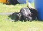 he had his bust...