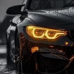 Profile picture of Maks