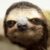 Profile picture of GaySloth