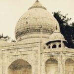 Profile picture of cephasurer