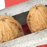 Profile picture of CBTTop