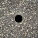 Profile picture of found