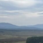 Profile picture of Zrhbustee