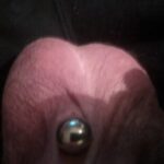 Profile picture of chasbelt