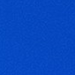 Profile picture of Gaius